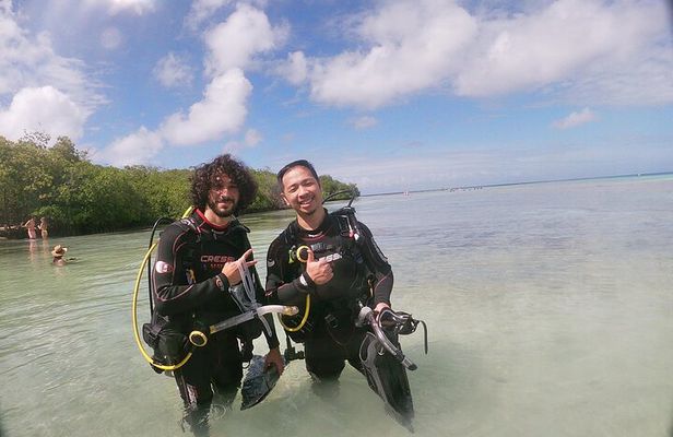 Aruba PADI Scuba Diving Program Non Certified Divers