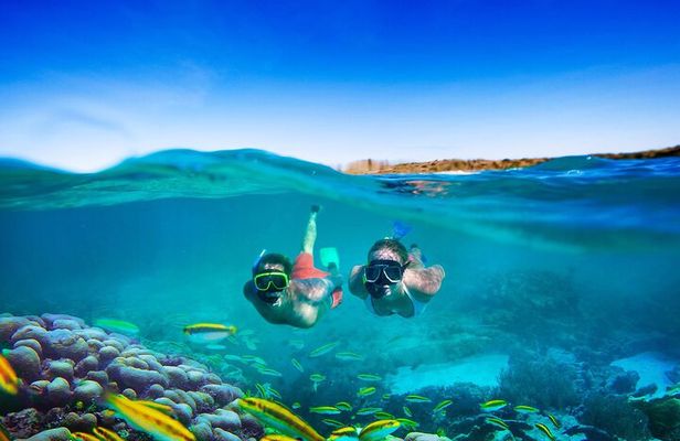 Negril Seven Miles Beach, Snorkeling, Boat Ride, Ricks Cafe Combo