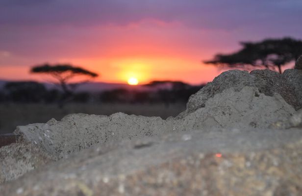 4 Day Safari- Tarangire,Ngorongoro and Serengeti