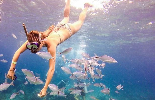 Catalina Island & Snorkling Tour Full Day All Inclusive