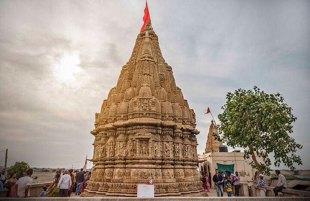 Glimpses of Wildlife & Footstep of Gandhi Gujarat Tour (10 Days)