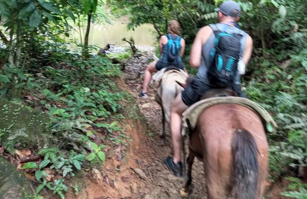 Private Tour in Miches with La Jarda Waterfall Experience