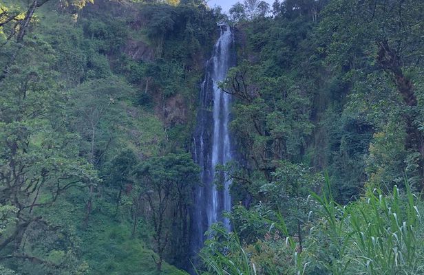 Materuni Waterfalls & Coffee Tour 