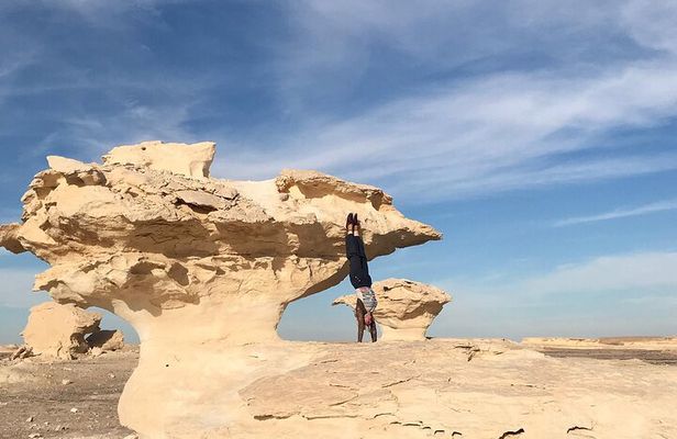 Day tour to White Desert and Bahariya Oasis Tour
