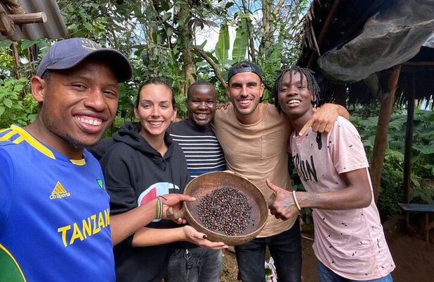 Private Materuni Waterfalls Hiking and Coffee Tour