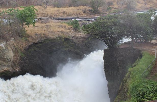 Murchison Falls Safari - 3 Days