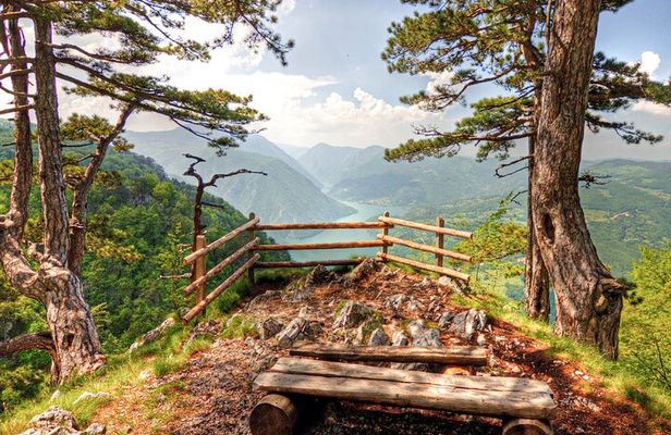 Full Day Trip from Belgrade: The Drina River House And Tara Park Tour