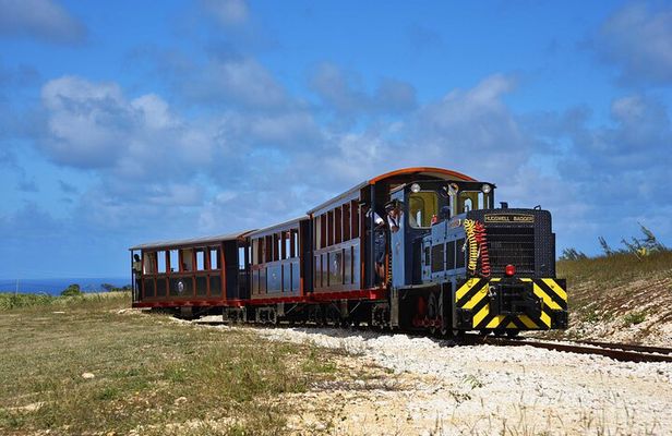 St. Nicholas Abbey & Heritage Railway