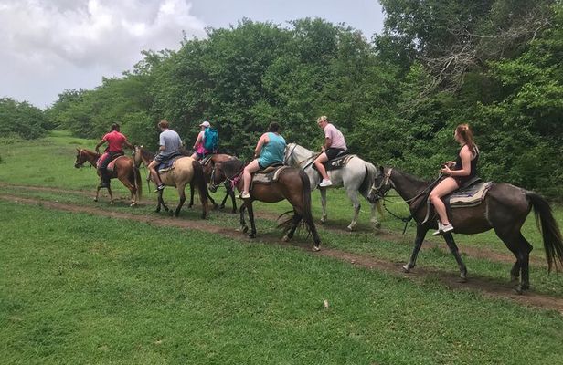Horseback Riding Experience