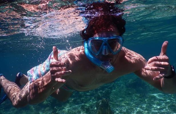 Private Chocolate & Rumfactory Tour Snorkeling CoralReef WestEnd