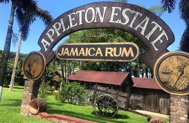 Appleton Estate Rum Factory And YS Falls Inclusive Tours From Montego Bay