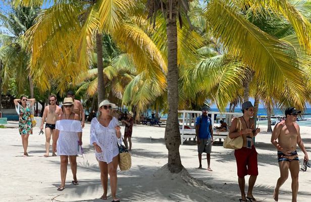Full Day Tour to Isla Saona and Altos de Chavon