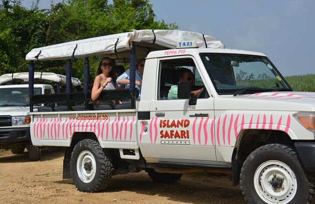 Discovery Safari