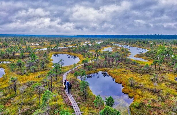 From Riga: Best of Kemeri National Park In One Day