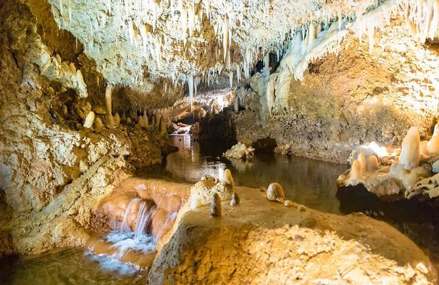 Harrison's Cave Tour in Barbados