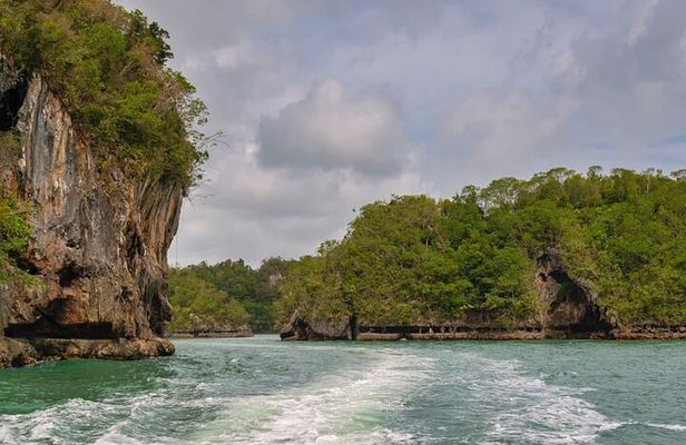 Shared 10-12 Hours Tour in Los Haitises National Park