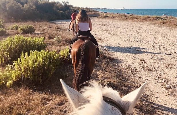 Horse ride in a Salento Nature Reserve with transfer from Lecce