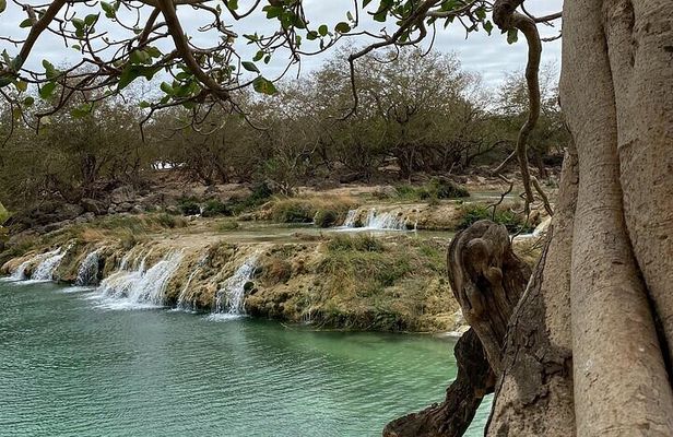 Half-Day Private Salalah East Tour
