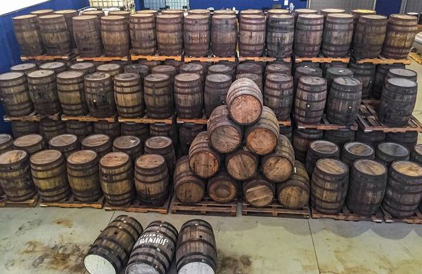Reggae and Rum Sightseeing Tours