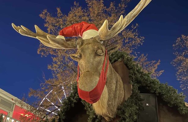 Julefeiring: Oslo’s Christmas Tour