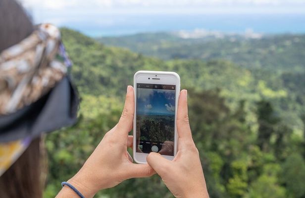 Half-Day El Yunque National Forest Tour from San Juan