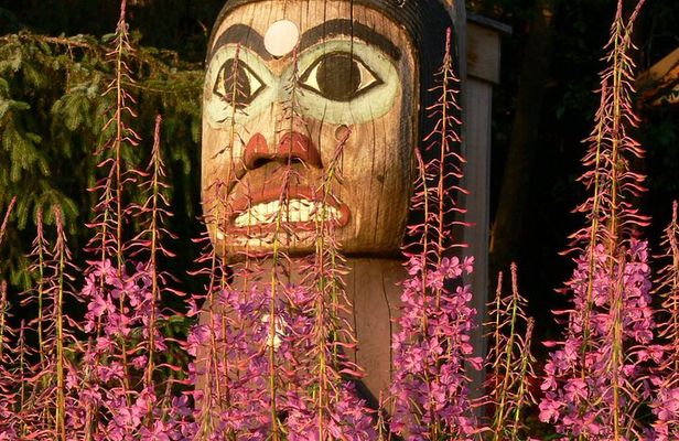 Off the Beaten Path Ketchikan Photo Safari - 3 hr.