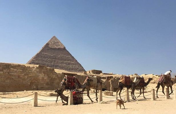 7-Day Private Guided Tour in Cairo, Luxor and Aswan