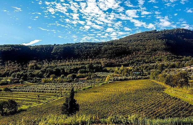 Sant'Agata de' Goti wine tasting and cooking class experience