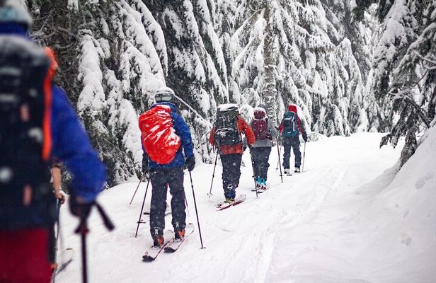 Whistler Intro to Backcountry Skiing and Splitboarding