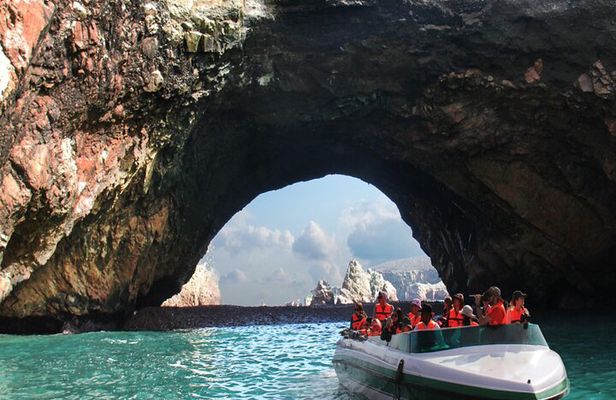 Morning: Ballestas Island tour from Paracas with entrances