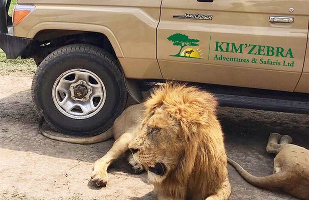 4 Days Tanzania Authentic Camping | Lodge Safari