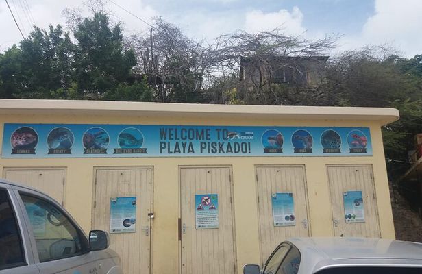 Western snorkel & swim Trip 