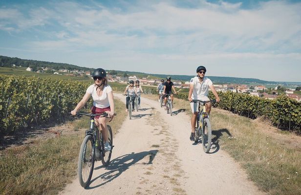 Reims: Half-day cycling in Champagne with tastings