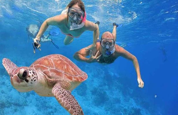 Private Day In Sharm El Sheikh From Cairo By Flight