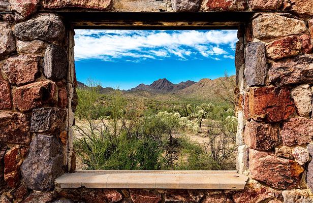 When Nature Calls - Exploring the Sonoran Desert