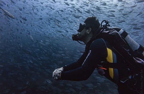 Scuba Diving