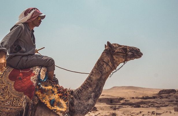 Private 2 Hours Camel Ride or Horse Around The Pyramids