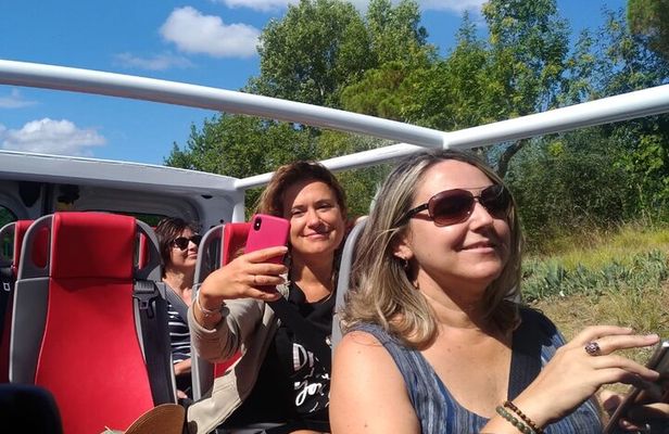 Open Top Van!! Half Day in Chianti with Wine Tasting