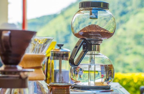 Private tour: The Urban Coffee Culture in Medellin - Coffee farm & Workshop