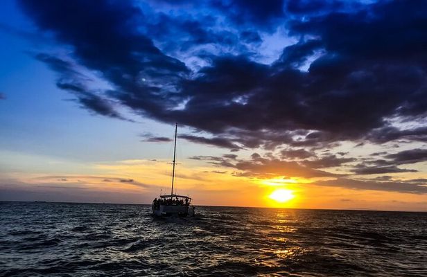 Sealounge Catamaran Private Sunset Tour to Playa Fantasia