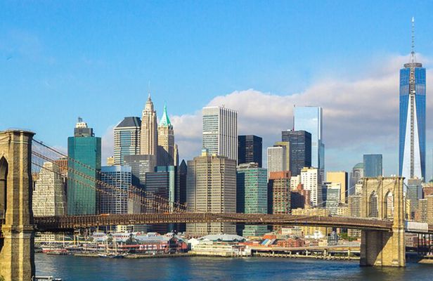 Private New York City Half Day Guided Tour - The Downtown Experience