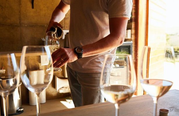 Private Tour of Top 5 Stellenbosch Wineries From Cape Town