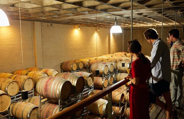 Best of Cape Town Cape Point and Wineries Combined Private Tour