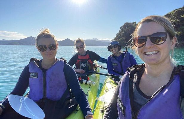 Full-Day Guided Sea Kayak Trip from Picton