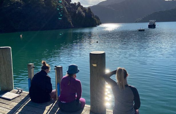 Full-Day Guided Sea Kayak Trip from Picton