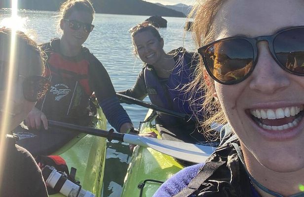 Half-Day Guided Sea Kayak Trip from Picton
