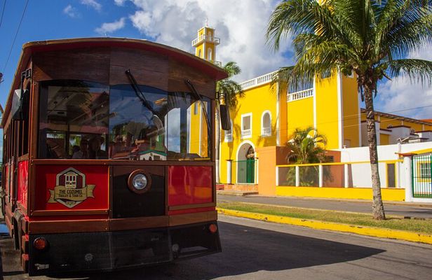 Cozumel City Tour By Trolley