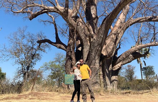 3 Day Matopos, Hwange National Park, Victoria Falls Tour