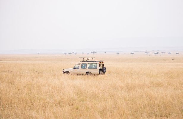Private 2 Day Diani Beach to Tsavo East Tour