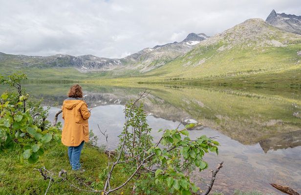 Arctic Roadtrip: fjords with scenic picnic | Sightseeing